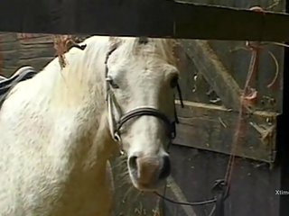 Vies wild seks in een barn voor ondeugend boerderij meisjes